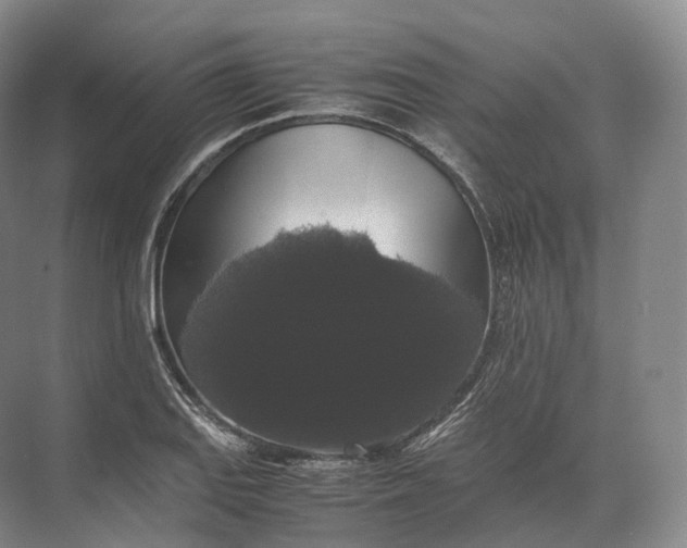 X0000071781127200607150048