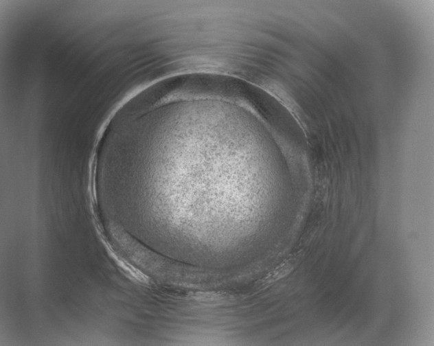 X0000071781128200607150048