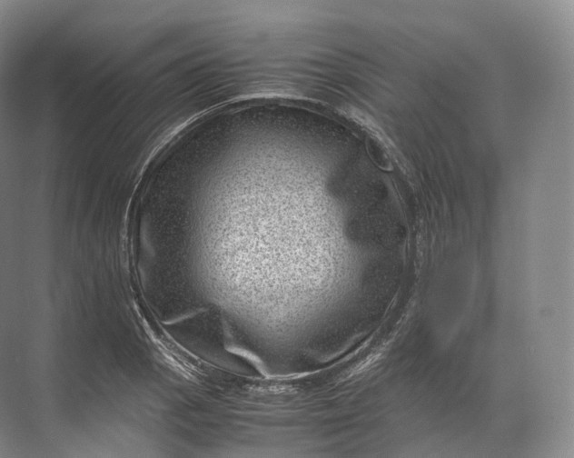 X0000071781129200607150048