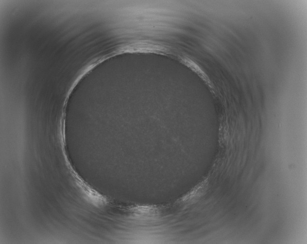 X0000071781130200607150048