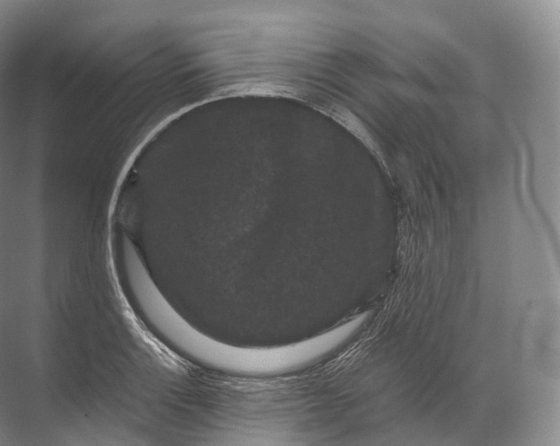 X0000071781132200607150048