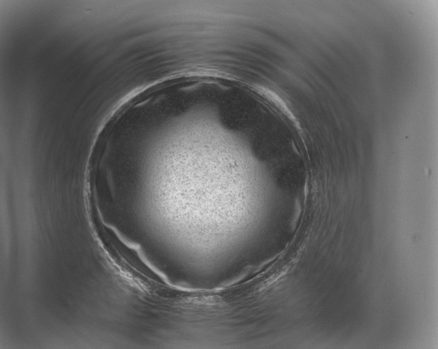 X0000071781133200607150048