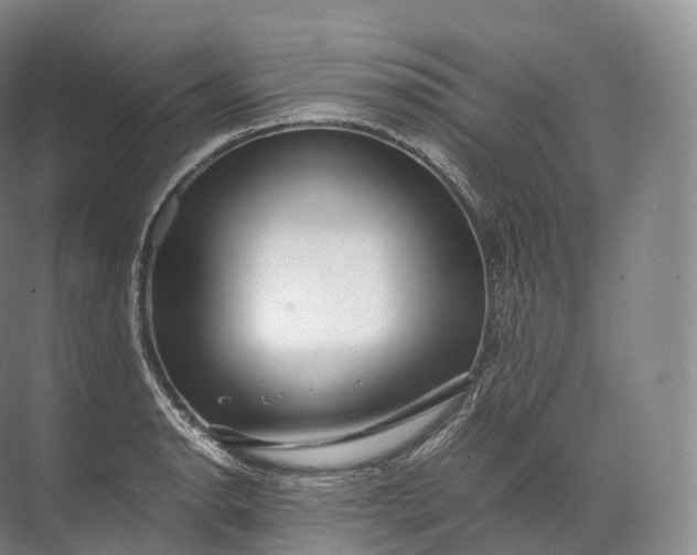 X0000071781134200607150048