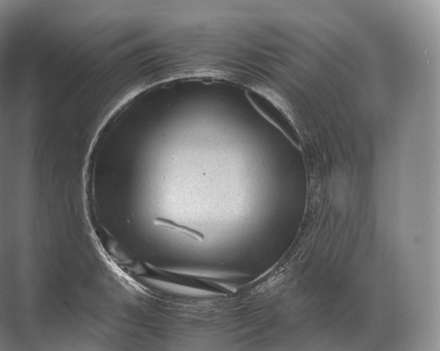 X0000071781135200607150048