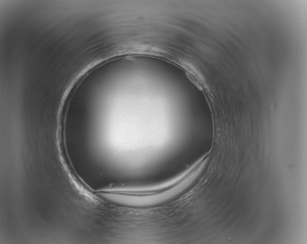 X0000071781136200607150048