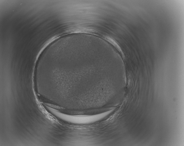 X0000071781138200607150048