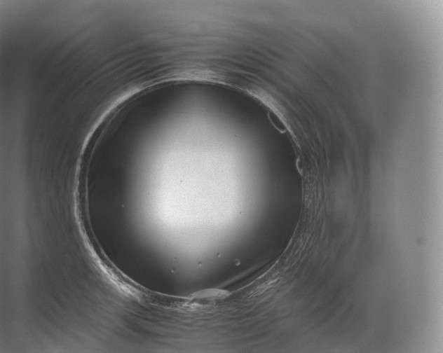 X0000071781139200607150048