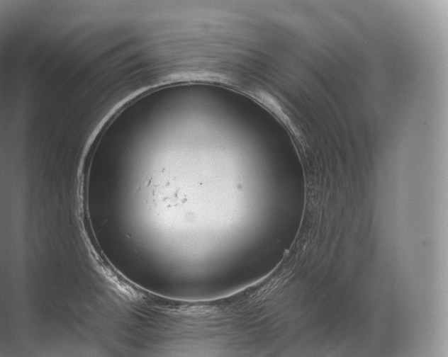 X0000071781140200607150048