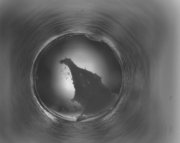 X0000071781141200607150048