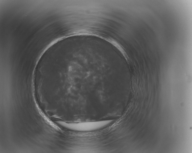 X0000071781142200607150048