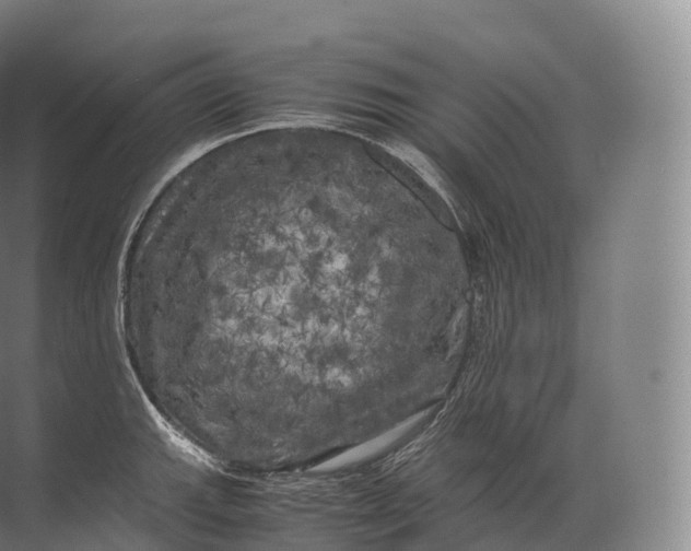 X0000071781143200607150048