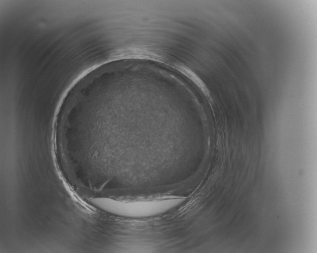 X0000071781144200607150048