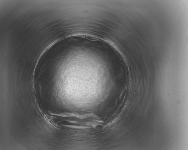 X0000071781145200607150048