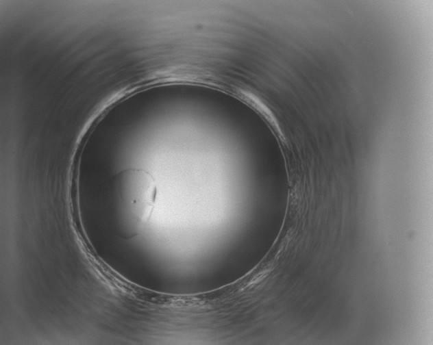 X0000071781146200607150048