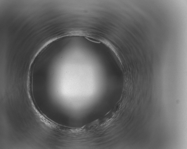 X0000071781147200607150048