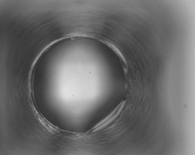 X0000071781148200607150048