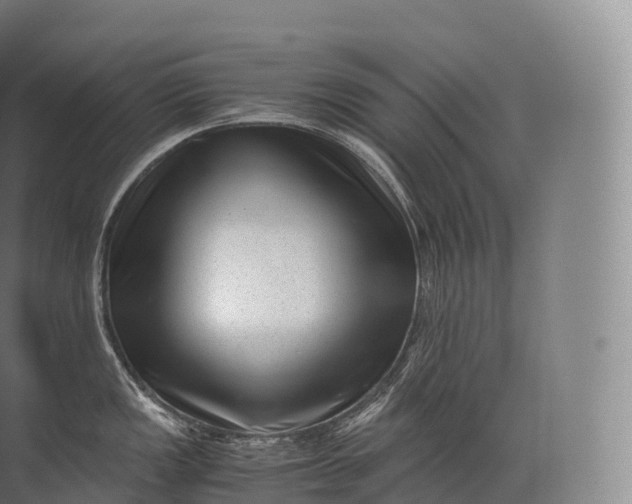 X0000071781149200607150048