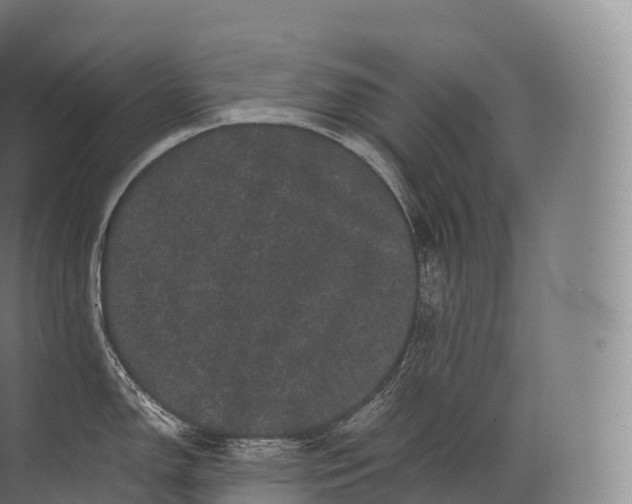 X0000071781150200607150048