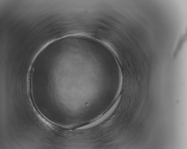 X0000071781151200607150048