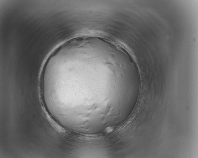 X0000071781152200607150048