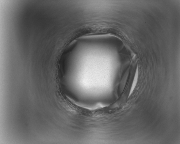 X0000071781153200607150047