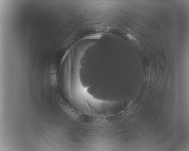 X0000071781154200607150047