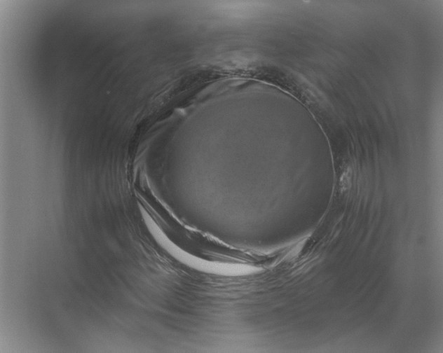 X0000071781156200607150047