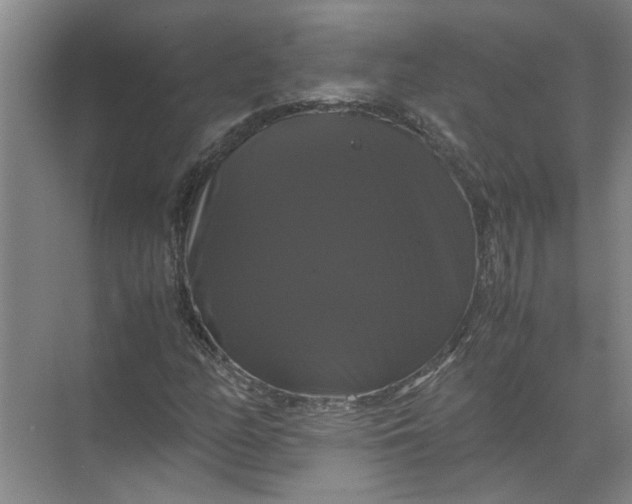 X0000071781158200607150047