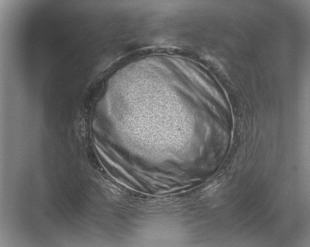 X0000071781159200607150047