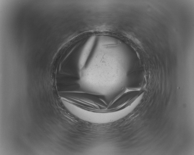 X0000071781160200607150047