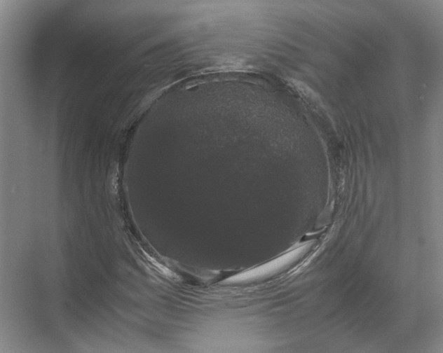 X0000071781161200607150047