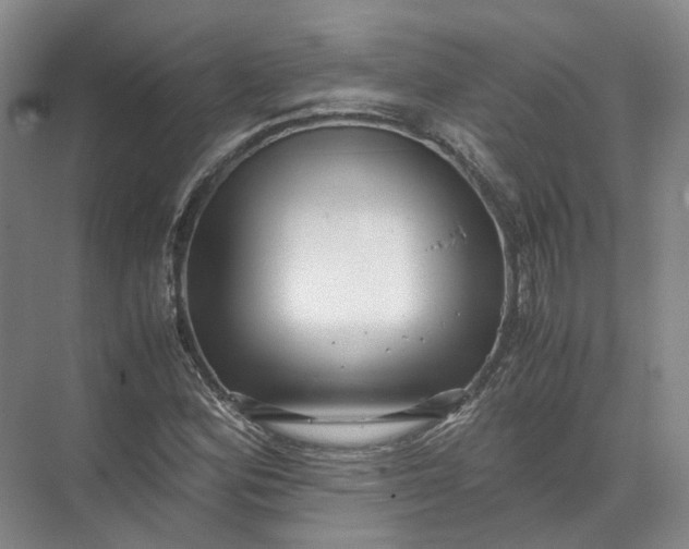 X0000071781164200607150047