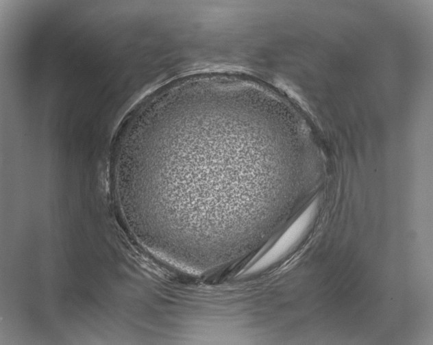 X0000071781165200607150047