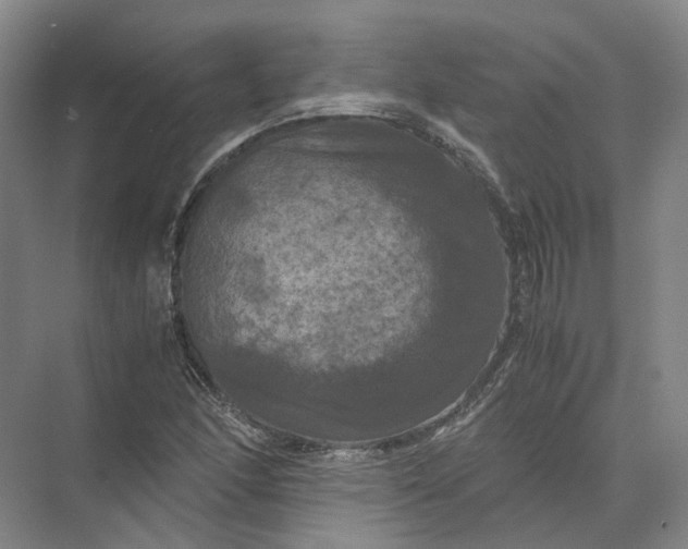 X0000071781166200607150047