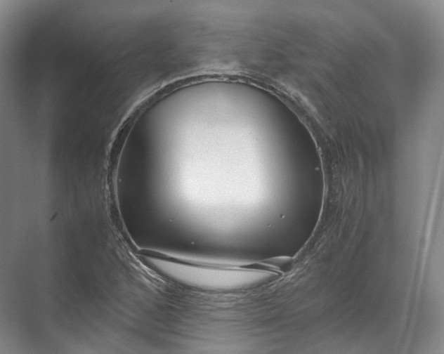 X0000071781168200607150047