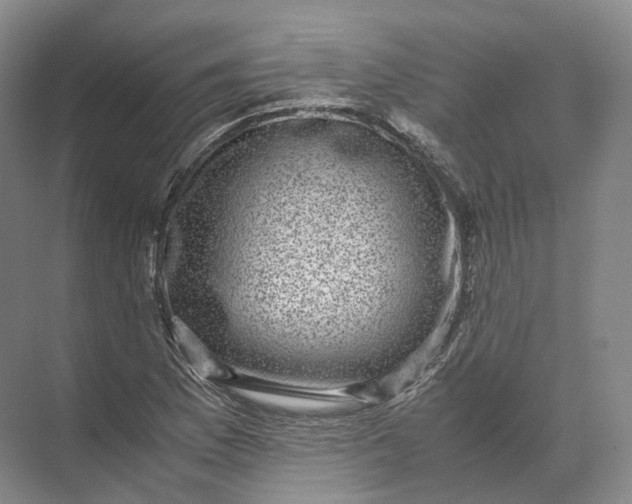 X0000071781169200607150047