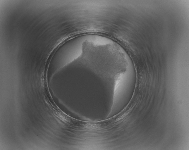 X0000071781170200607150047