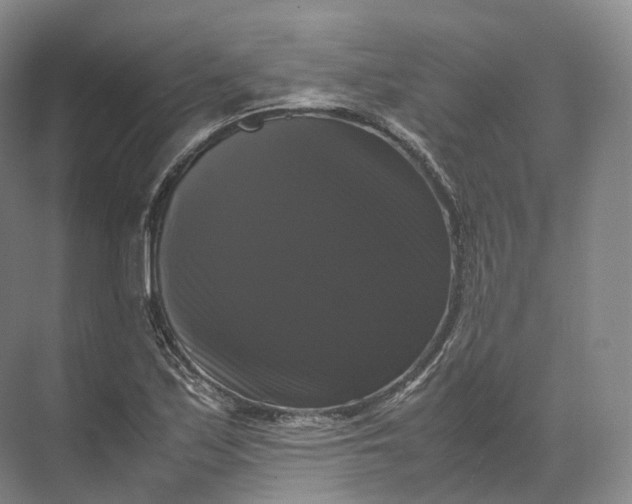 X0000071781171200607150047