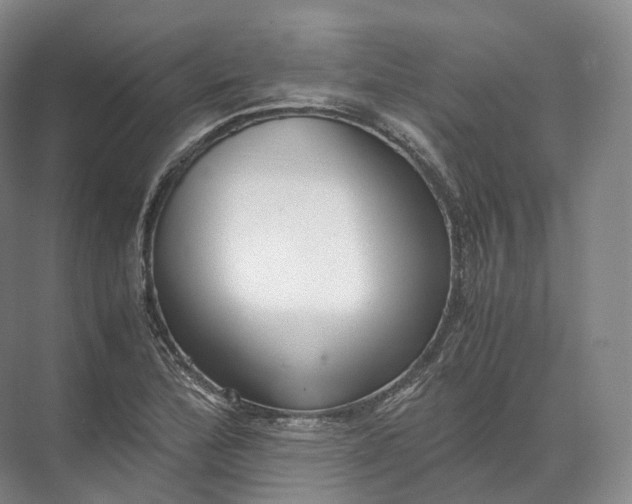 X0000071781172200607150047