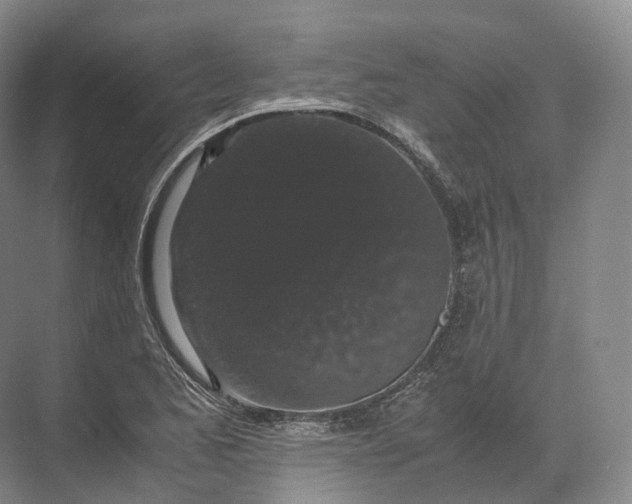 X0000071781173200607150047