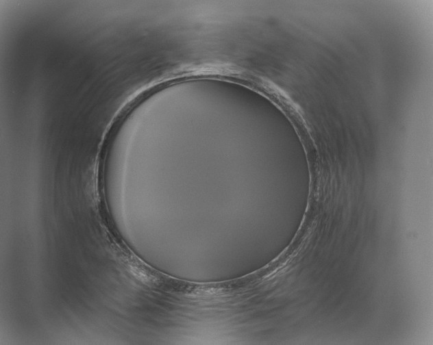 X0000071781174200607150047