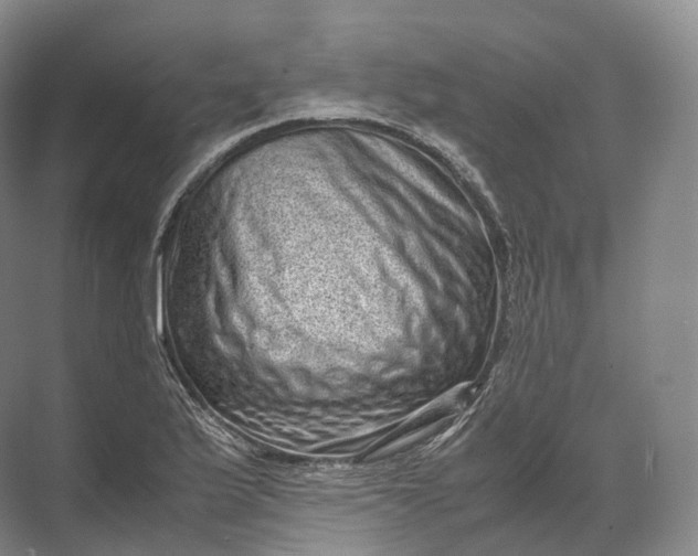 X0000071781175200607150047