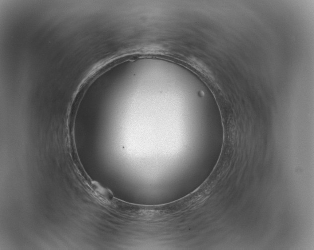 X0000071781176200607150047