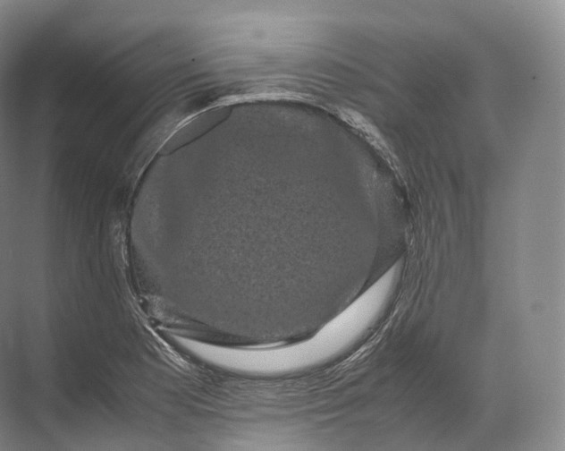 X0000071781177200607150047