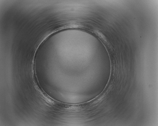 X0000071781178200607150047