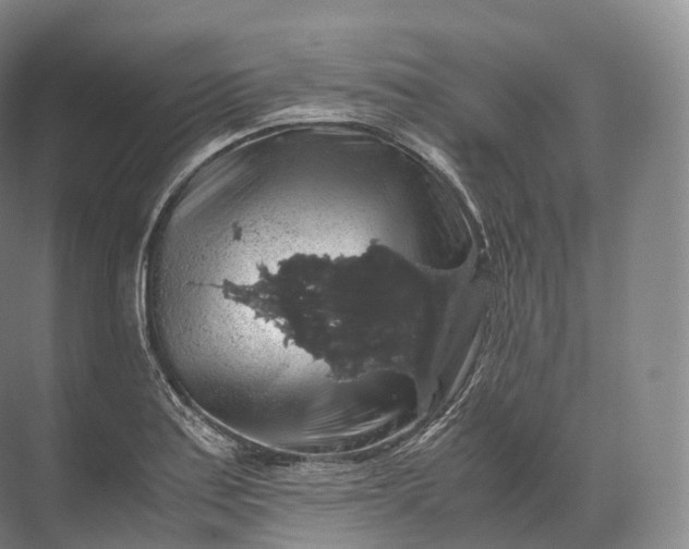 X0000071781179200607150047