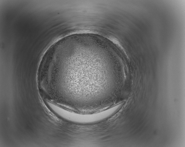 X0000071781181200607150047