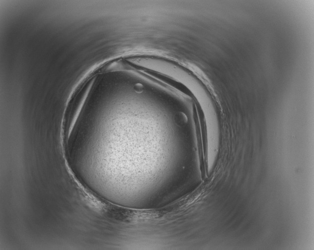 X0000071781183200607150047