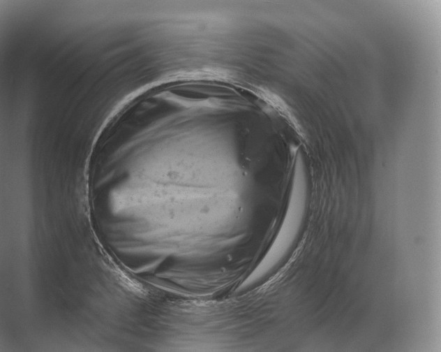 X0000071781184200607150047