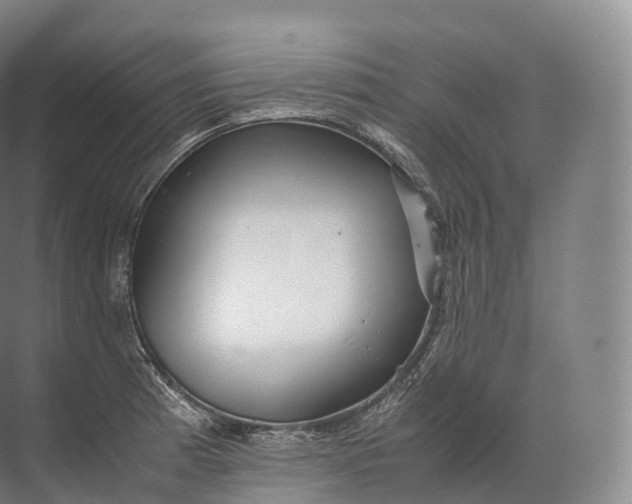 X0000071781185200607150047